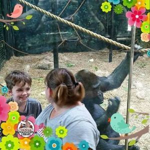 Meet your Posher, Kendra